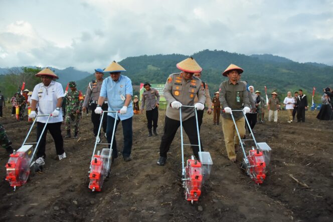 
					Kapolda Sulteng Irjen Pol. Agus Nugroho dan Forkopimda Tanam Jagung Bersama di Sigi, (Foto: Istimewa)