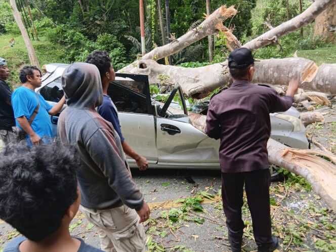 
					Evakuasi Kendraan Yang Tertimpa Pohon Besar, (Foto: Istimewa)