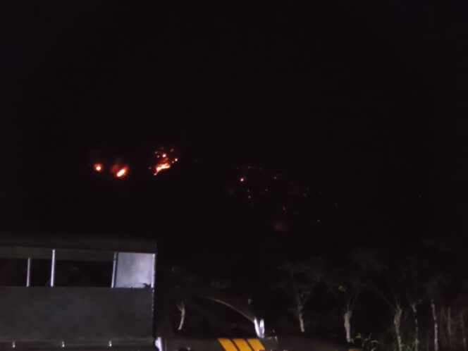 
					Kebakaran hutan dan lahan (karhutla) yang terjadi di wilayah perbatasan Desa Toboli dan Desa Avolua, Kecamatan Parigi Utara, Kabupaten Parigi Moutong. (Foto: Istimewa)