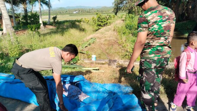 
					Warga Dusun II, Desa Beringin Jaya, Kecamatan Bolano, dikejutkan dengan penemuan seorang pria dalam kondisi tidak bernyawa di dalam selokan. (Foto: Istimewa)