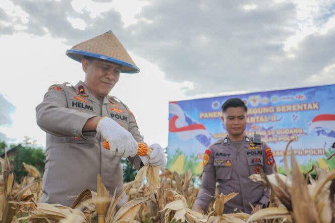 
					Wakil Kepala Kepolisian Daerah Sulawesi Tengah (Wakapolda Sulteng), Brigjen. Pol. Dr. Helmi Kwarta Kusuma Putra Rauf, menghadiri kegiatan Panen Raya Serentak Kuartal II Tahun 2026 yang dilaksanakan melalui sarana Zoom Meeting. (Foto: Istimewa)