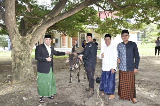 
					Rektor Untad, Prof. Dr. Ir. Amar, S.T., M.T., IPU., Asean Eng. Memberikan Hewan Kurban Kepada Juru Sembelih Halal (Juleha) Untuk Dilakukan Penyembelihan Kurban. (Foto: Istimewa)