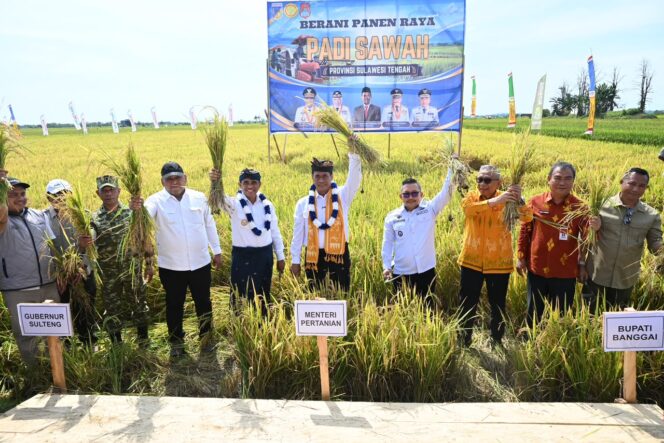 
					Gubernur Sulawesi Tengah Bersama Menteri Pertanian RI Melakukan Panen Raya Padi Sekaligus Tanam Padi dengan metode PM-AAS Di Kawasan Persawahan Dataran Toili. (Foto: Istimewa)
