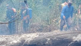 Kebakaran Melanda Lahan Perkebunan Cengkeh Dan Cokelat Milik Warga Di Dusun III, Desa Lembah Bomban, Kecamatan Bolano, Kabupaten Parigi Moutong. (Foto: Istimewa)