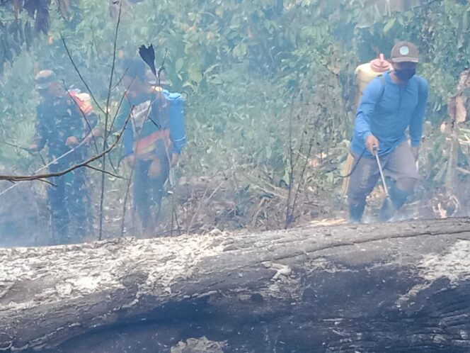 
					Kebakaran Melanda Lahan Perkebunan Cengkeh Dan Cokelat Milik Warga Di Dusun III, Desa Lembah Bomban, Kecamatan Bolano, Kabupaten Parigi Moutong. (Foto: Istimewa)