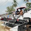 Gubernur Sulawesi Tengah Anwar Hafid menghadiri Gerakan Percepatan Panen Padi “Berani Panen Raya” di Desa Rusa Kencana, Kecamatan Toili Raya, Kabupaten Banggai. (Foto: Istimewa)