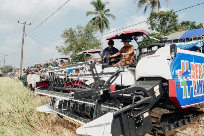 
					Gubernur Sulawesi Tengah Anwar Hafid menghadiri Gerakan Percepatan Panen Padi “Berani Panen Raya” di Desa Rusa Kencana, Kecamatan Toili Raya, Kabupaten Banggai. (Foto: Istimewa)
