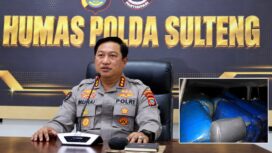 Barang Bukti 35 Jerigen Biosolar Dengan Perkiraan Total 1.190 Liter. (Foto: Istimewa)