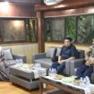 Rektor Untad Prof. Dr. Ir. Amar, S.T., M.T., IPU., Asean Eng. Melakukan Kunjungan Silaturahmi Dengan Bupati Tolitoli. (Foto: Istimewa)